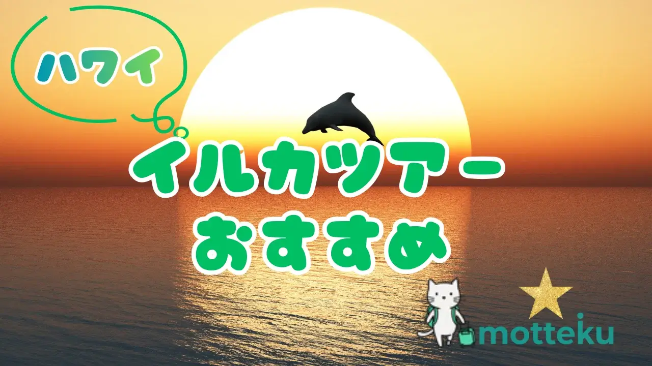 【2026年最新】ハワイのイルカツアーおすすめ10選！目的別・エリア別で徹底比較