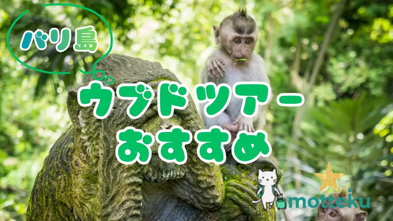 【2026年最新】バリ島ウブドツアーおすすめ10選！料金・所要時間・予約方法を徹底比較